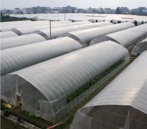 長垣養殖大棚廠來圖定制